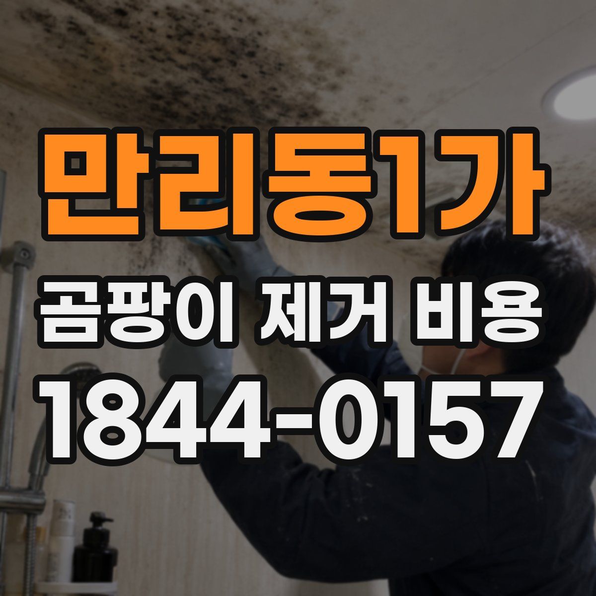 만리동1가 곰팡이 제거 비용