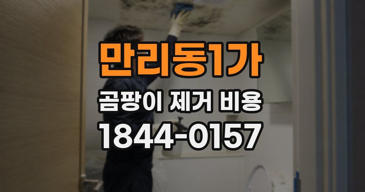 만리동1가 곰팡이 제거 비용