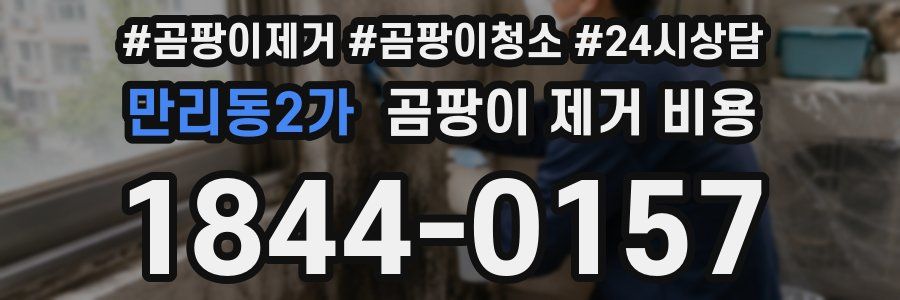 만리동2가 곰팡이 제거 비용