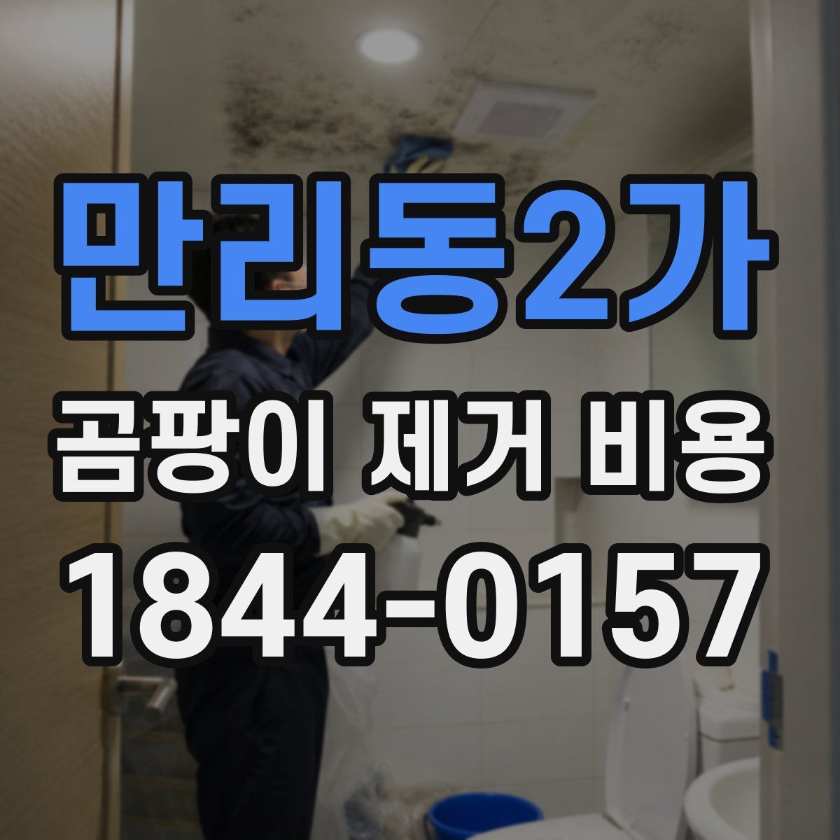 만리동2가 곰팡이 제거 비용