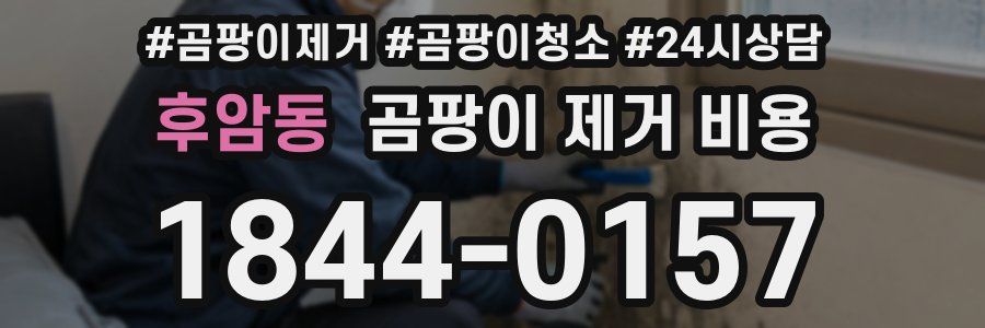 후암동 곰팡이 제거 비용