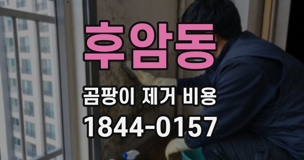 후암동 곰팡이 제거 비용