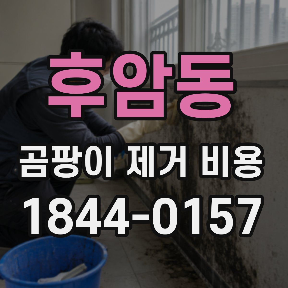 후암동 곰팡이 제거 비용