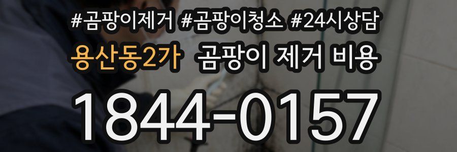 용산동2가 곰팡이 제거 비용