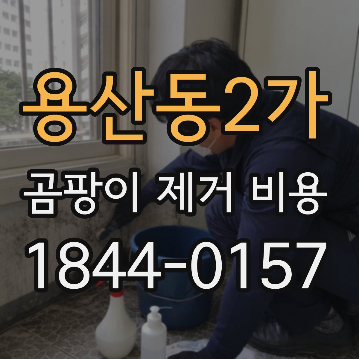 용산동2가 곰팡이 제거 비용