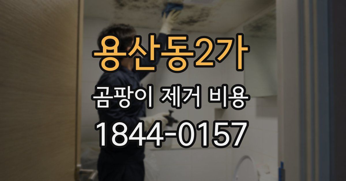 용산동2가 곰팡이 제거 비용