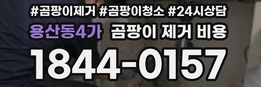 용산동4가 곰팡이 제거 비용