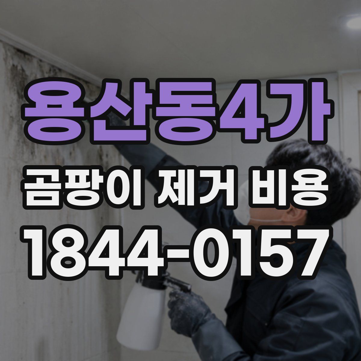 용산동4가 곰팡이 제거 비용