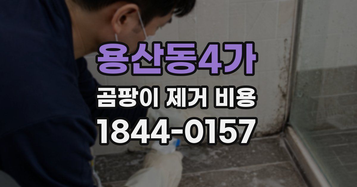 용산동4가 곰팡이 제거 비용