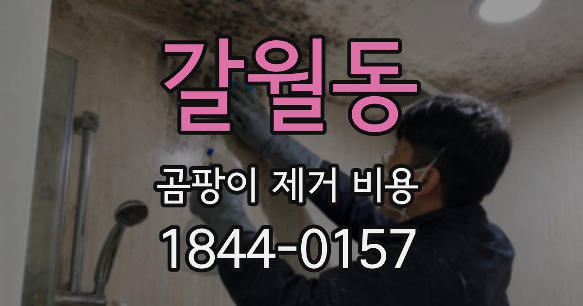 갈월동 곰팡이 제거 비용