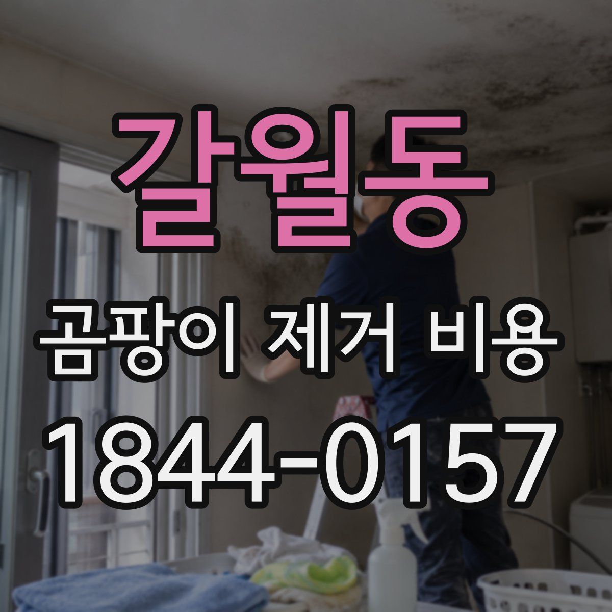 갈월동 곰팡이 제거 비용