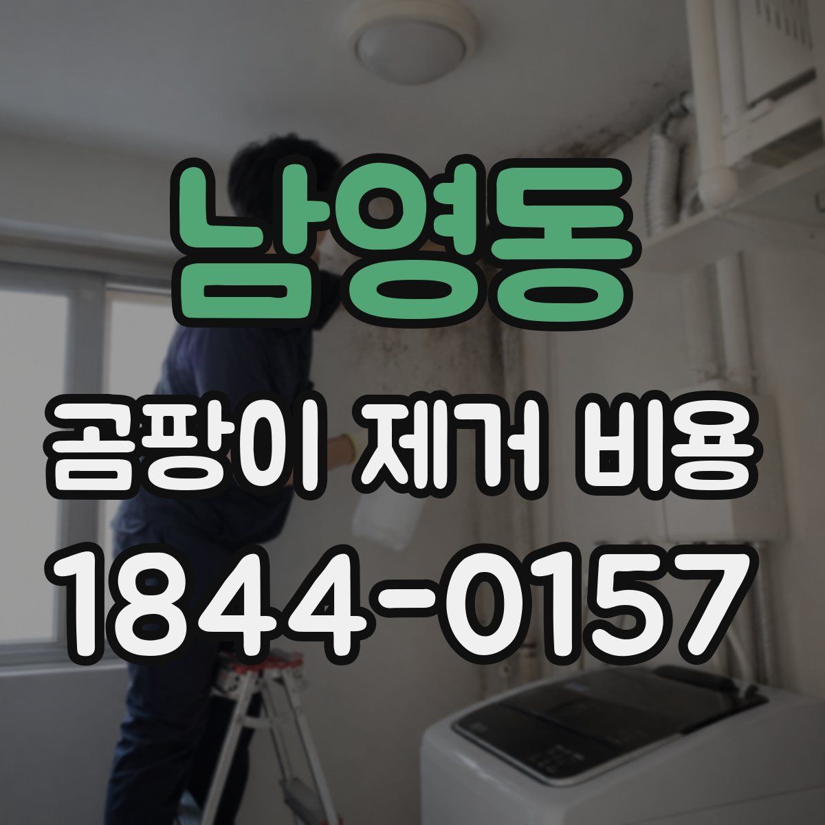 남영동 곰팡이 제거 비용