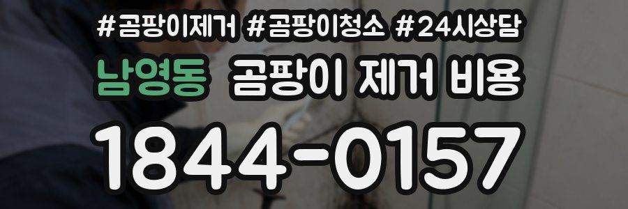 남영동 곰팡이 제거 비용