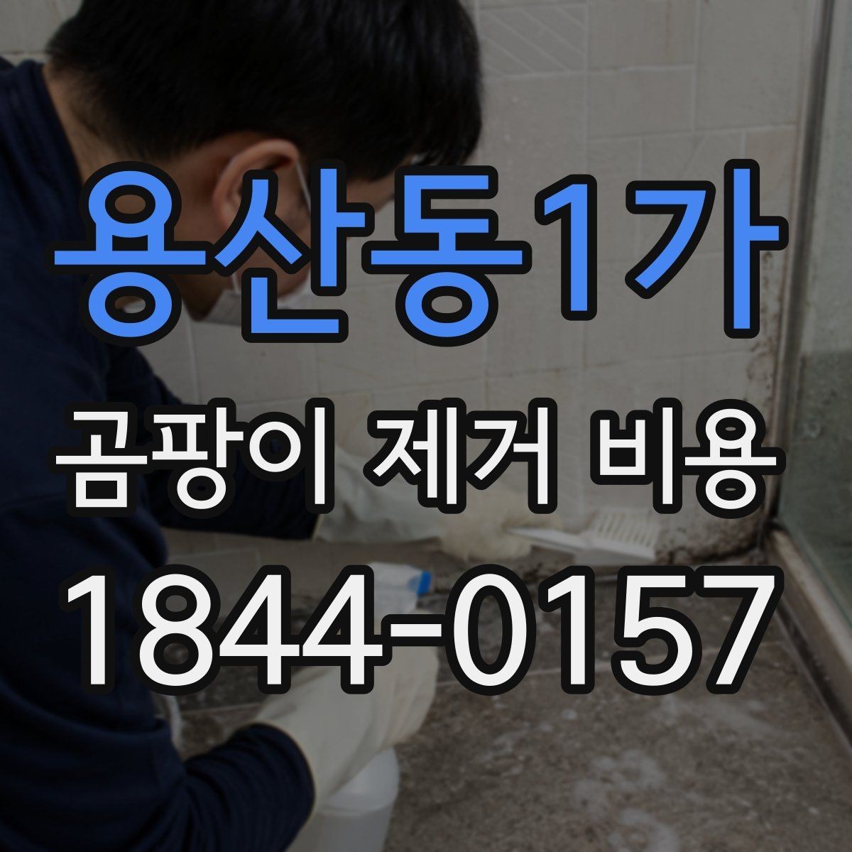 용산동1가 곰팡이 제거 비용 현장 상태에 따라 달라지는 견적 항목