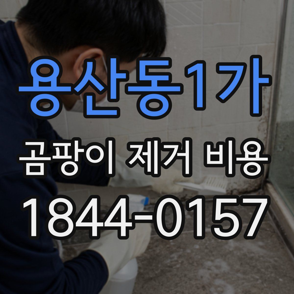 용산동1가 곰팡이 제거 비용