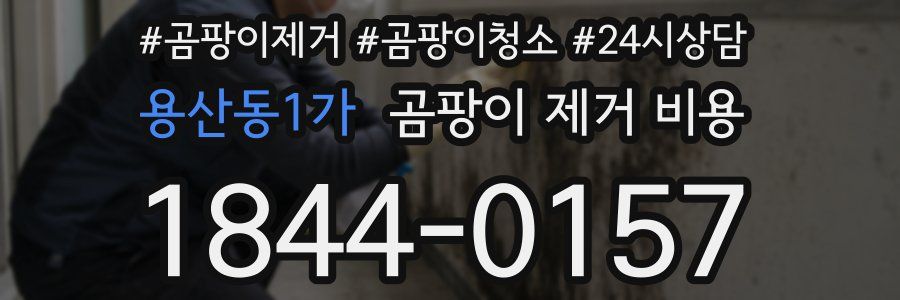 용산동1가 곰팡이 제거 비용
