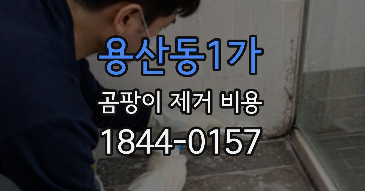 용산동1가 곰팡이 제거 비용