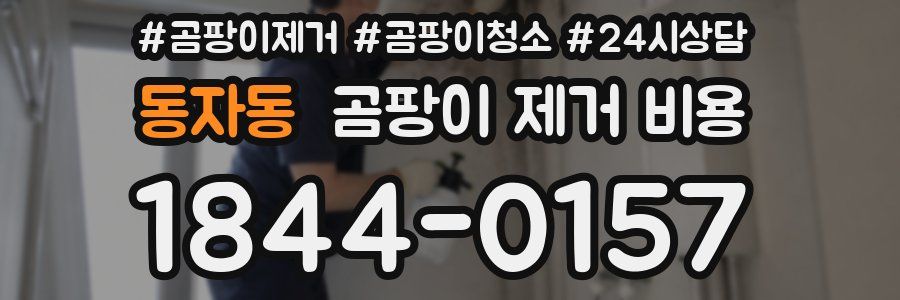 동자동 곰팡이 제거 비용