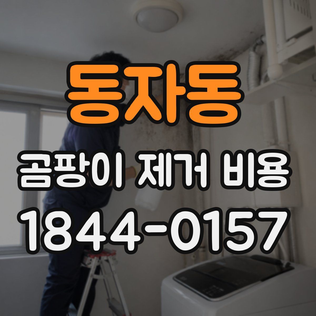 동자동 곰팡이 제거 비용