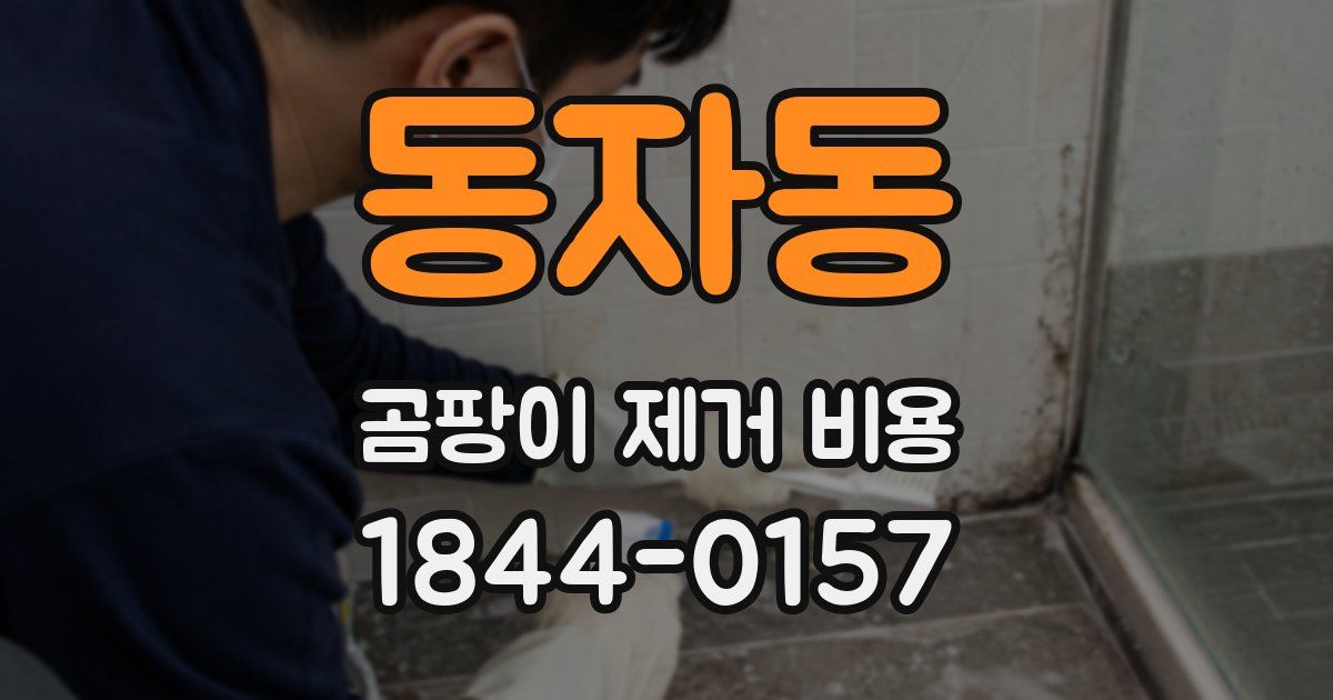 동자동 곰팡이 제거 비용