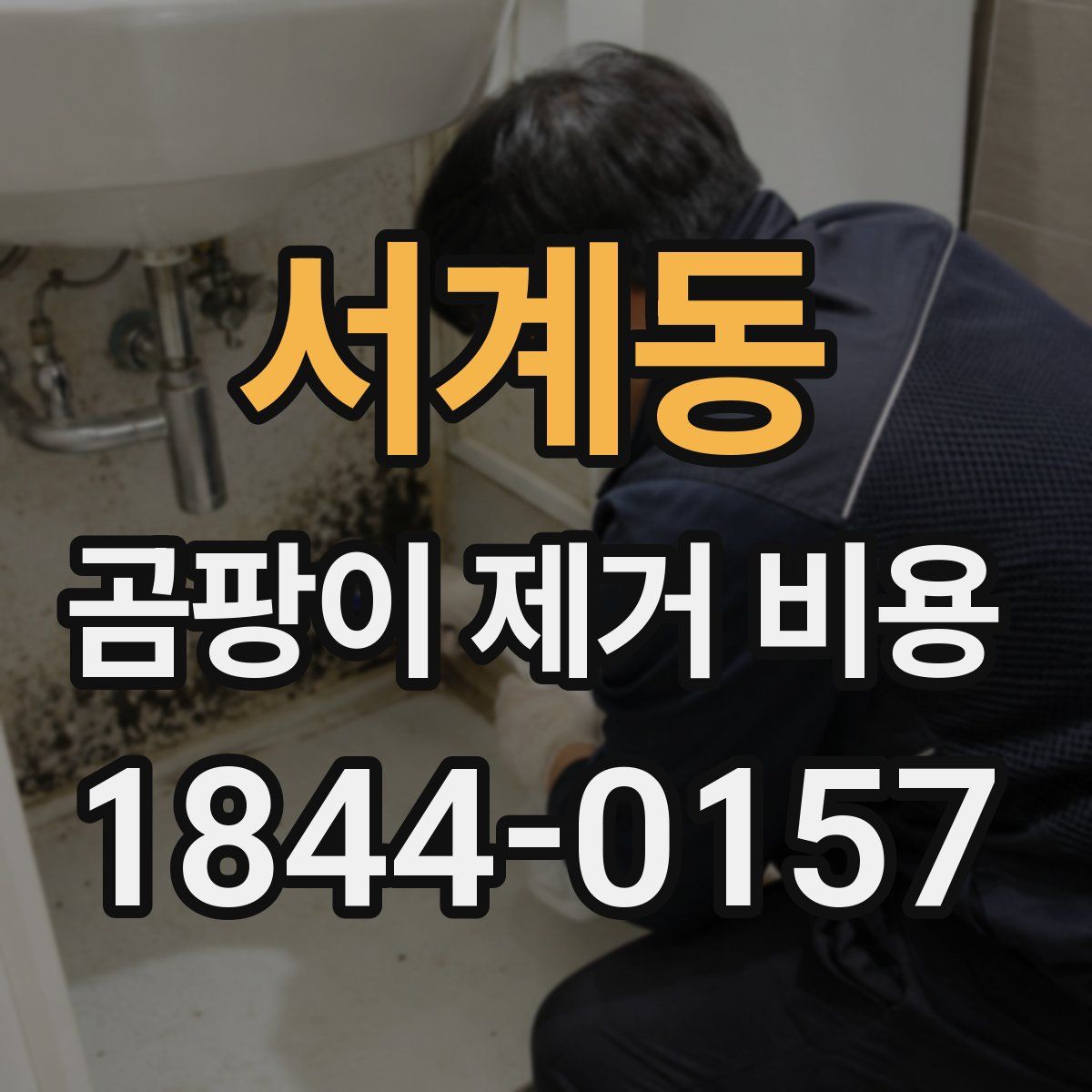 서계동 곰팡이 제거 비용
