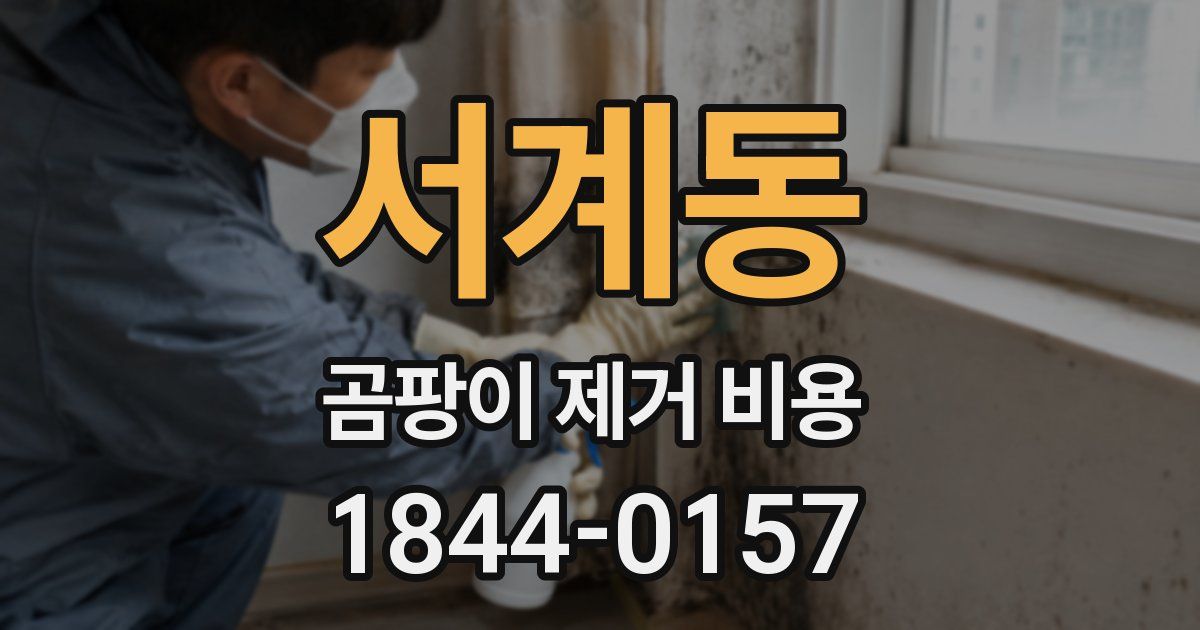 서계동 곰팡이 제거 비용