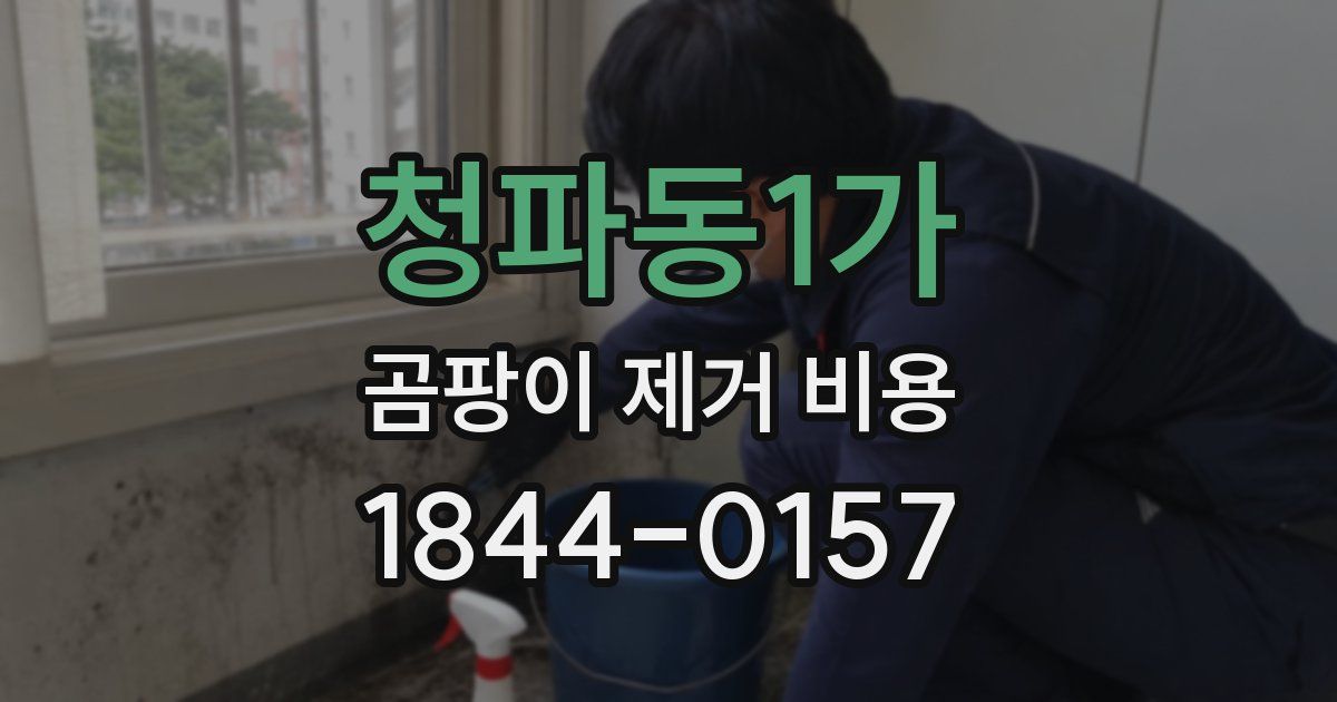 청파동1가 곰팡이 제거 비용