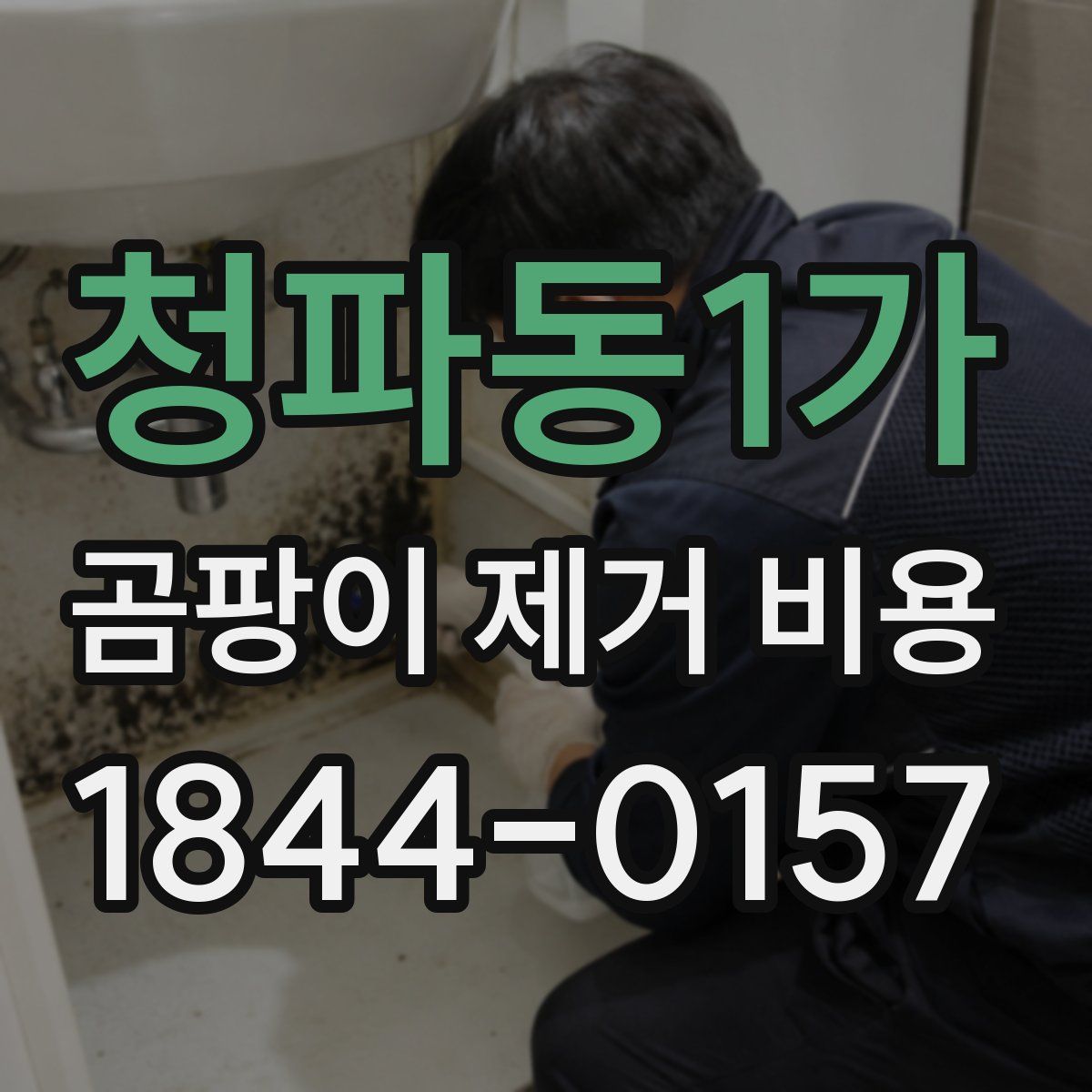 청파동1가 곰팡이 제거 비용