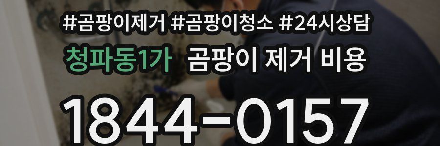 청파동1가 곰팡이 제거 비용