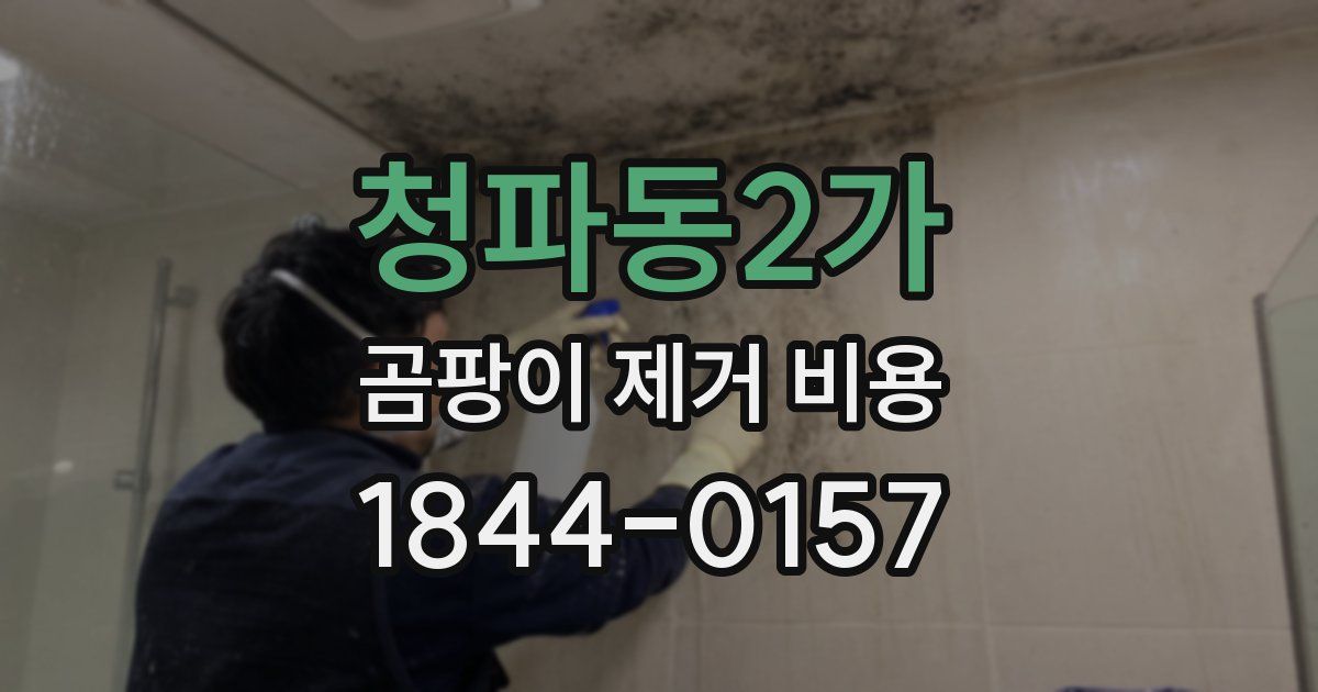 청파동2가 곰팡이 제거 비용