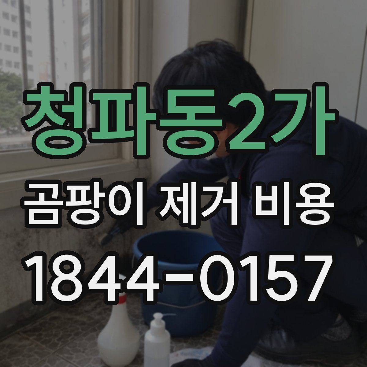 청파동2가 곰팡이 제거 비용