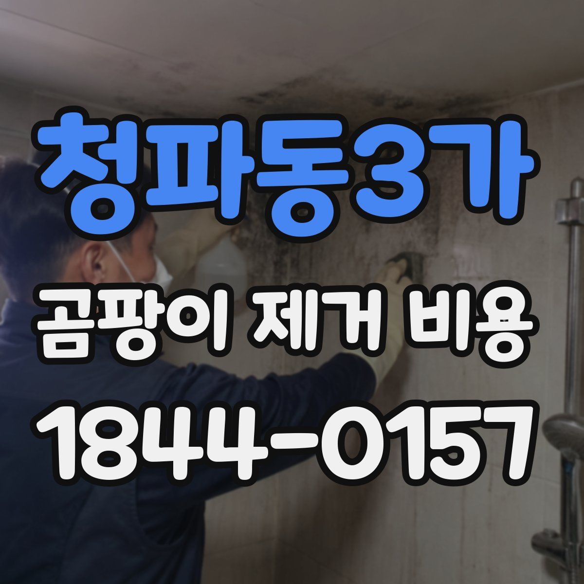 청파동3가 곰팡이 제거 비용