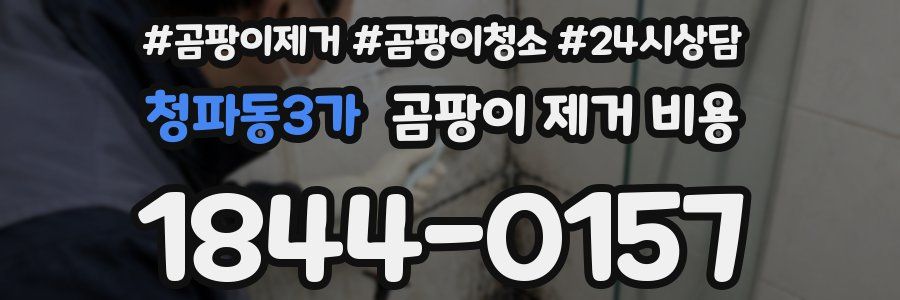 청파동3가 곰팡이 제거 비용