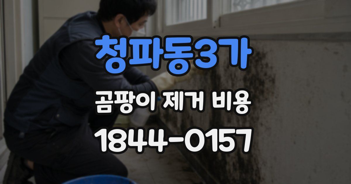 청파동3가 곰팡이 제거 비용