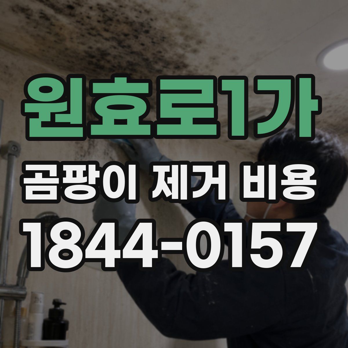 원효로1가 곰팡이 제거 비용