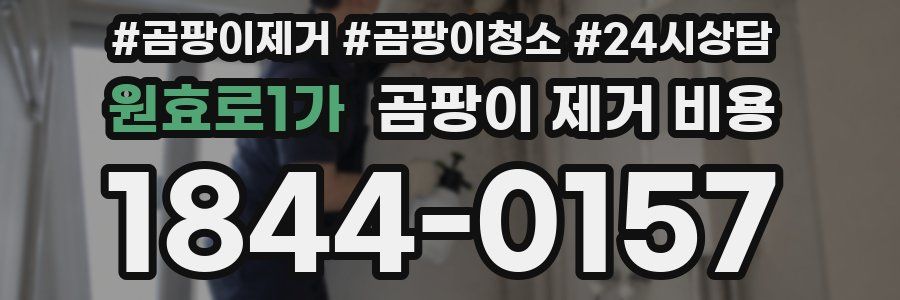 원효로1가 곰팡이 제거 비용
