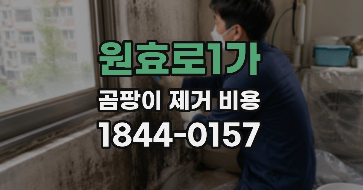 원효로1가 곰팡이 제거 비용