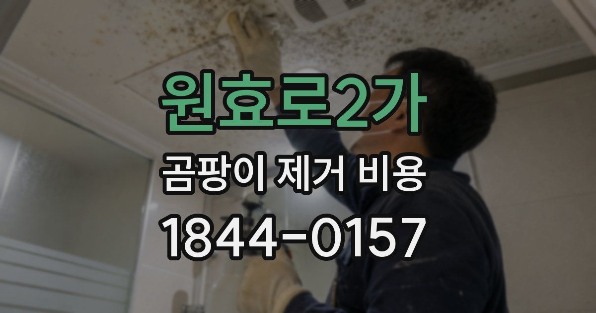 원효로2가 곰팡이 제거 비용