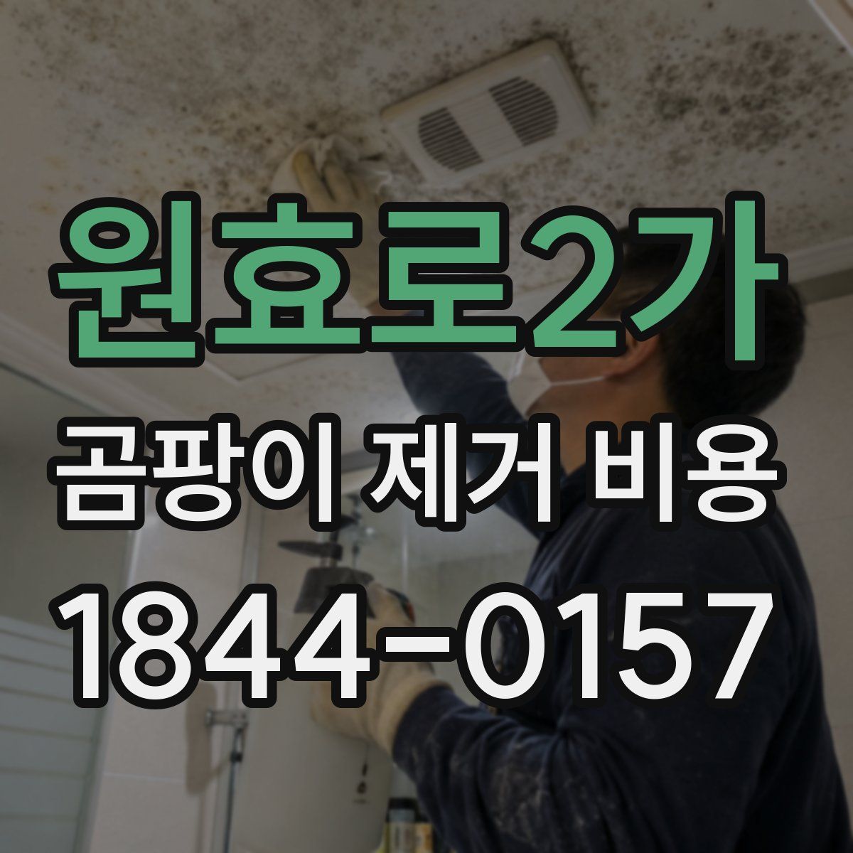 원효로2가 곰팡이 제거 비용