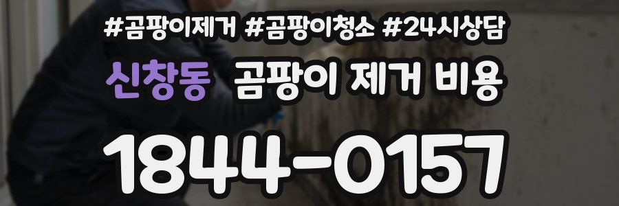 신창동 곰팡이 제거 비용
