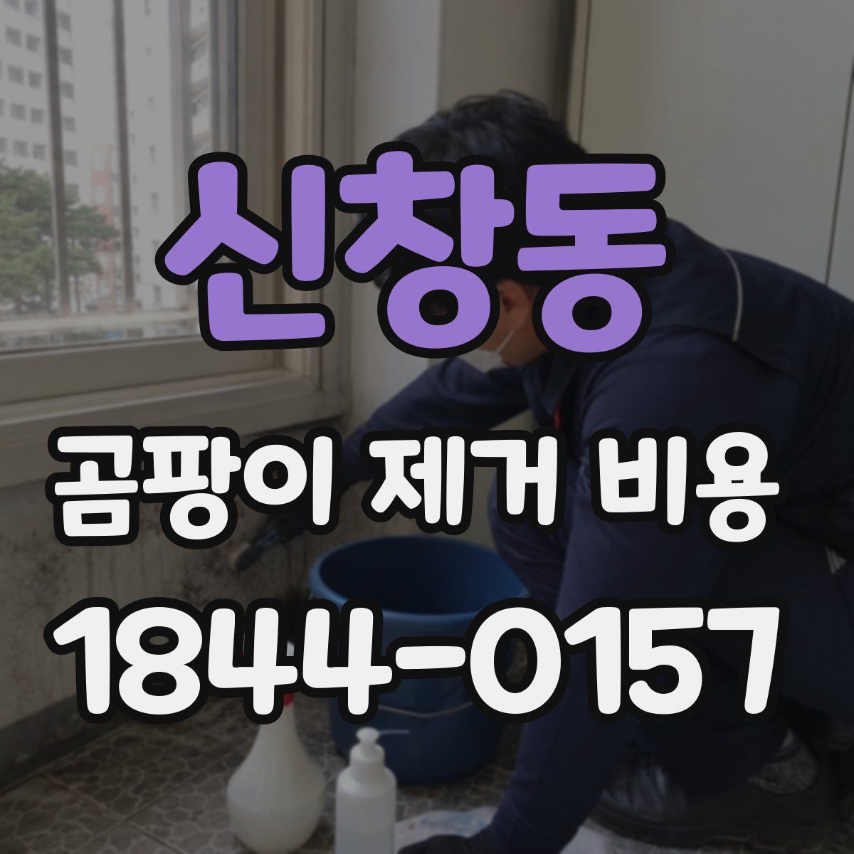 신창동 곰팡이 제거 비용