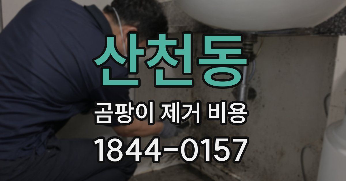 산천동 곰팡이 제거 비용