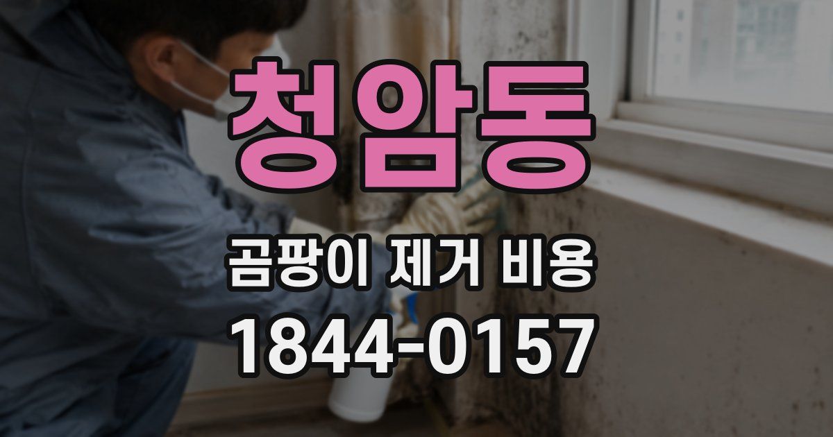청암동 곰팡이 제거 비용