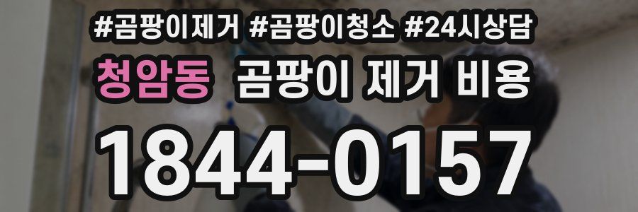 청암동 곰팡이 제거 비용