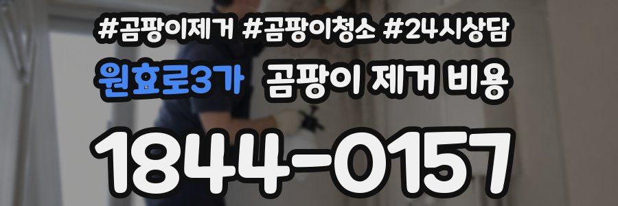 원효로3가 곰팡이 제거 비용