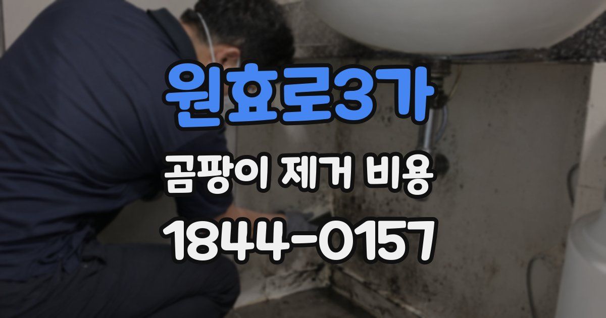 원효로3가 곰팡이 제거 비용