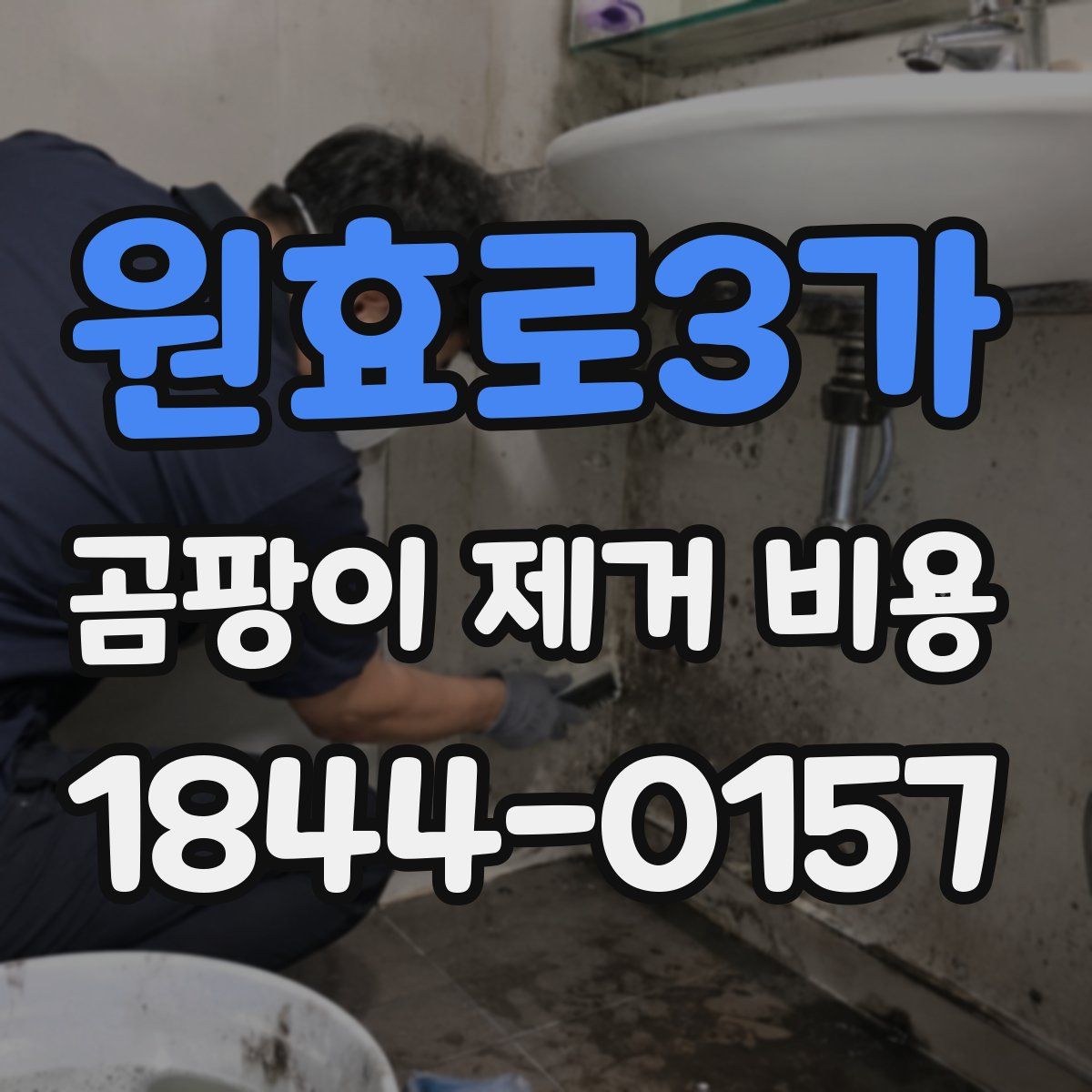 원효로3가 곰팡이 제거 비용