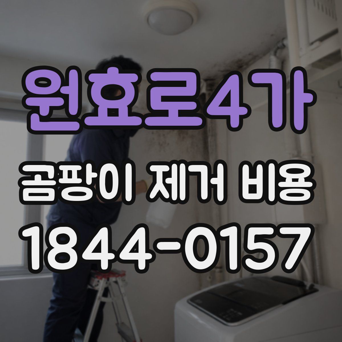 원효로4가 곰팡이 제거 비용