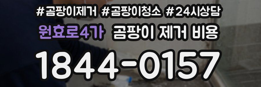 원효로4가 곰팡이 제거 비용