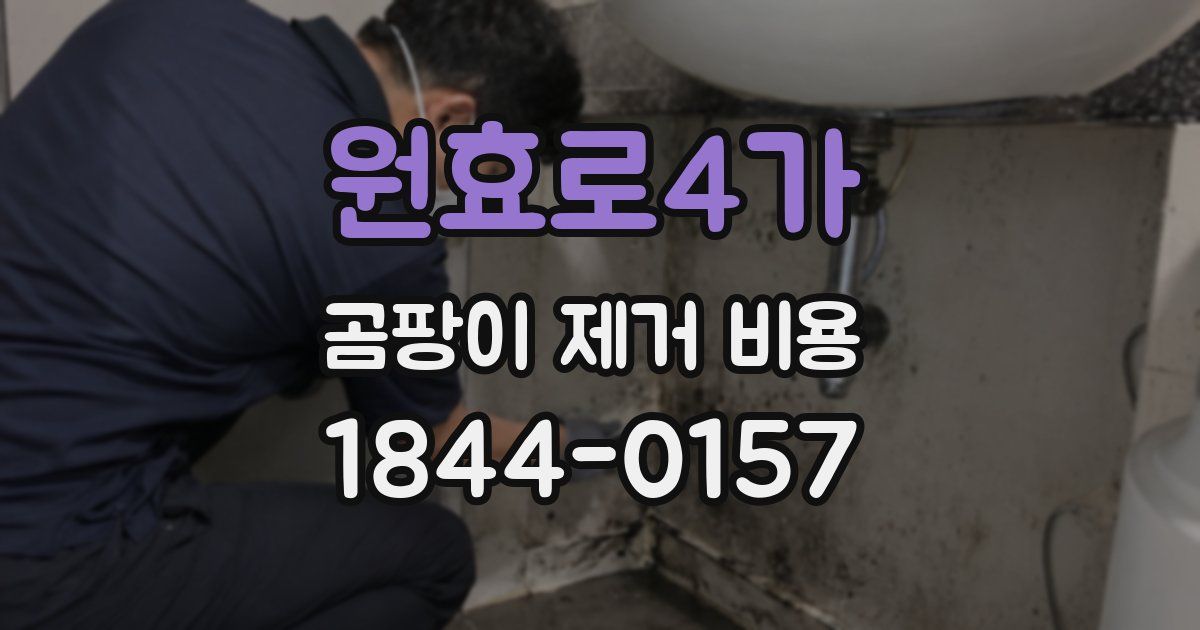 원효로4가 곰팡이 제거 비용
